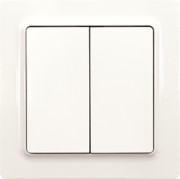 Funktaster F4T55E-pg 