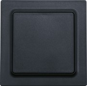 Wippschalter WS55E-am 