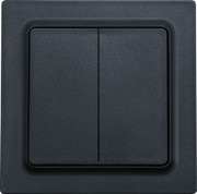 Wipptaster W2T55E-am 