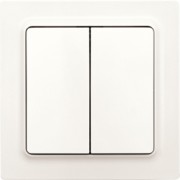 Wipptaster W2T55E-pm 