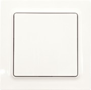 Funkschalter polarweiß glänzend FS55E-pg 