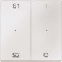 morepic-1