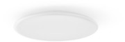 RZB LED-Wand-/Deckenleuchte 3000/4000/5700K, ws 221175.002.2 