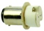 morepic-1