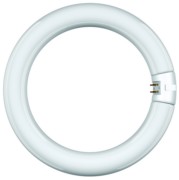 Scharnberger+Hasenbein Leuchtstofflampe Ringf. T9 29x307mm G10q 32W865 68818 