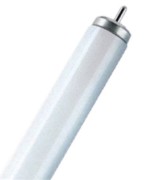 Scharnberger+Hasenbein Leuchtstofflampe T12 FA6 40W/640 für Ex 45237 