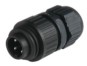 morepic-1