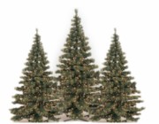 Scharnberger+Hasenbein Tannenbaum m.LED 155x210cm 63W outd. 58412 
