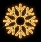 morepic-1