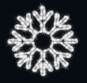 morepic-1