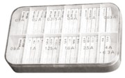 Scharnberger+Hasenbein Sicherungssortiment 5 M 5x20 200 Feinsich. 60610 