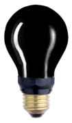 Scharnberger+Hasenbein Dunkelkammerlampe 60x105mm E27 230V 15W grün 65063 