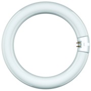Scharnberger+Hasenbein Leuchtstofflampe Ringf. 31x216mm G10q 22W BL 68326 