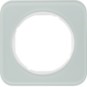 morepic-1