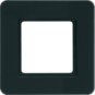 morepic-1