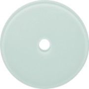 Glasabdeckplatte Schalter Serie Glas pws 109009 
