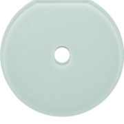 Glas-Endplatte Schalter Serie Glas pws 109409 