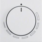 Zentralstück mit Regulierknopf 11378929 
