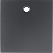Zentralstück anth 11461606 