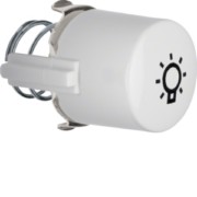 Tasterknopf pws für Symbol Licht 1226 