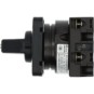 morepic-6