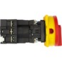 morepic-6