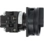 morepic-6