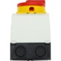morepic-5