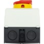 morepic-6