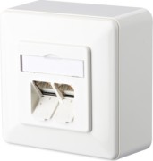 Anschlußdose Cat.6 rws E-DATC6 8/8(8)APrws 