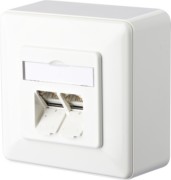 Anschlussdose C6A AP 2xRJ45 rws E-DAT 2 