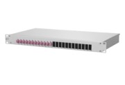 LWL-Box für EVZ OpDATfix12LCDOM4-EVZ 