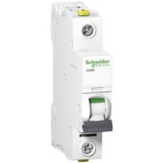 LS-Schalter 1P 25A C IC60N A9F04125 