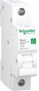 Leitungsschutzschalter 1P,20A,C R9F24120 
