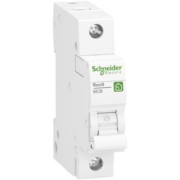 Leitungsschutzschalter 1P,32A,C R9F24132 