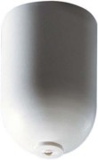 Philips Lighting Deckenbaldachin ZRS700 SMC WH 