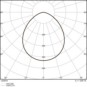 morepic-9
