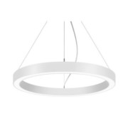 LED-Pendel-Ringleuchte DALI DT6 D45cm H10cm 13535173 