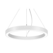 LED-Pendel-Ringleuchte DALI DT6 D45cm H10cm 13555174 