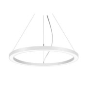LED-Pendel-Ringleuchte TW/RGBW D2,0m H50mm 13856179CA 