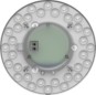 morepic-1