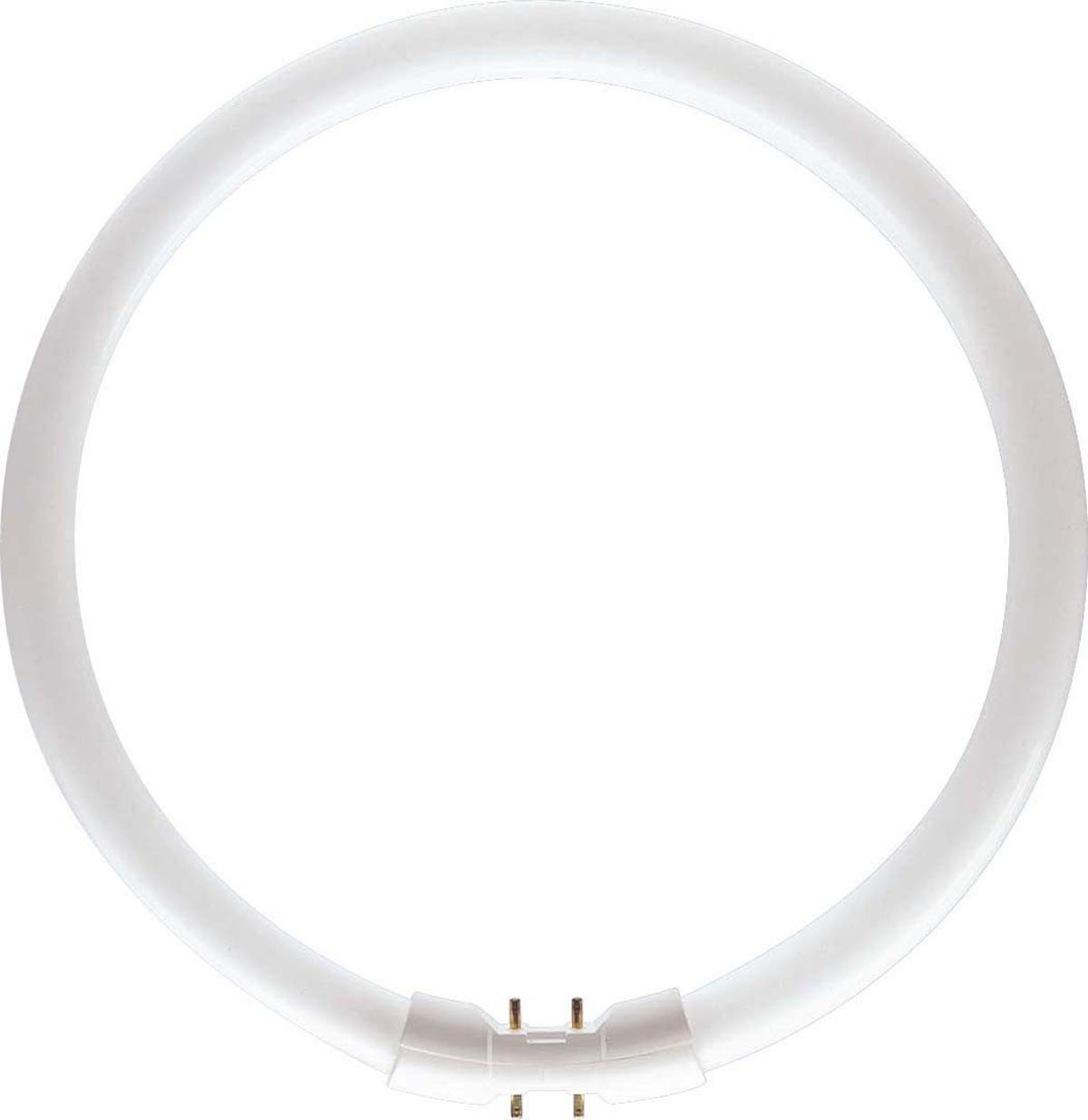 Philips Lighting Leuchtstofflampe 60W nws ringförmig TL5 C 60W/840 