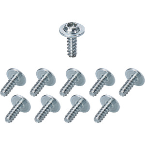 DK-Montagesschraube 10 mm, 6-rund T15 DK BZ 