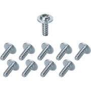 DK-Montagesschraube 10 mm, 6-rund T15 DK BZ 
