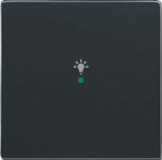 Wippe 1-fach, Symbol Licht anthrazit 6231-10-81 