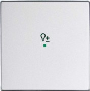 Wippe 1-f Symbol Dimmer alusilber 6234-10-83 