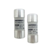 Mersen Sicherungseinsatz 22x58 AC690V 25A FR22AR69V25T 