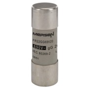 Mersen Sicherungseinsatz zylindr. gG 22x58 20A FR22GG69V20 