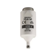 Mersen Sicherungseinsatz gG DIII AC690V 2A DIIIGG69V2 