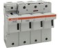morepic-1